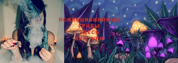 молекула духа Абинск